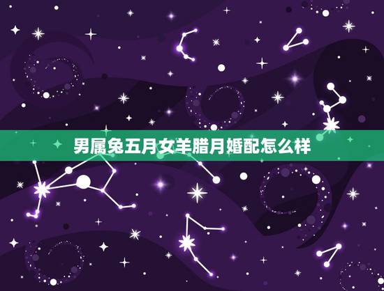 男属兔五月女羊腊月婚配怎么样,属相婚配:男属兔和女属牛相配吗 男属兔五月女羊腊月婚配怎么样,属相婚配:男属兔和女属牛相配吗