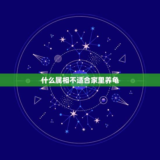 什么属相不适合家里养龟,养龟风水与属相禁忌有哪些 什么属相不适合家里养龟,养龟风水与属相禁忌有哪些