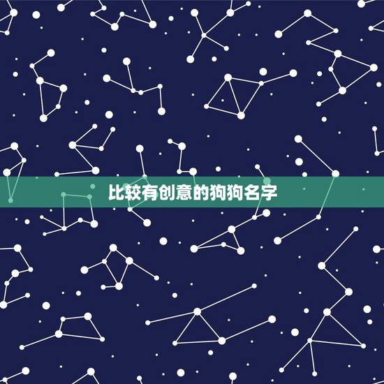 比较有创意的狗狗名字，给小狗去什么名字有创意