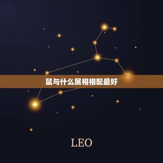 鼠与什么属相相配最好，属鼠的和什么属相最合适