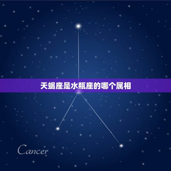 天蝎座是水瓶座的哪个属相,水瓶座和天蝎座有什么共同点? 天蝎座是水瓶座的哪个属相,水瓶座和天蝎座有什么共同点?