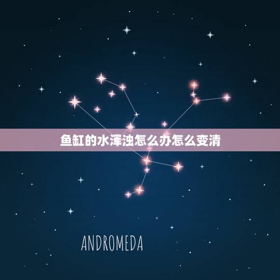 鱼缸的水浑浊怎么办怎么变清,鱼缸水突然变浑浊了,怎么办? 鱼缸的水浑浊怎么办怎么变清,鱼缸水突然变浑浊了,怎么办?