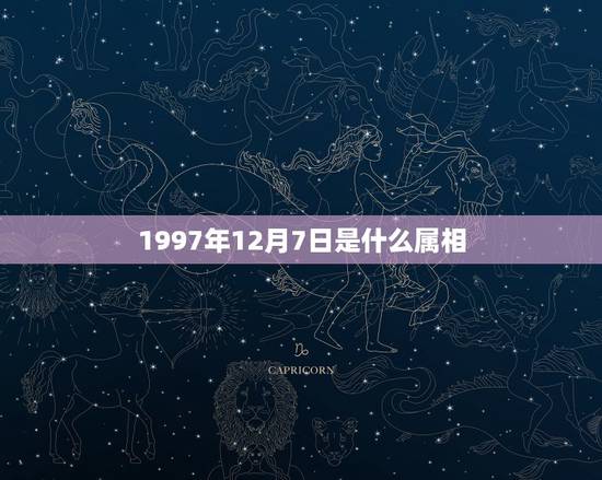 1997年12月7日是什么属相，1997年12月7日出生的属相