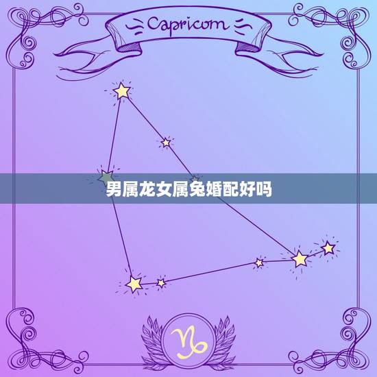 男属龙女属兔婚配好吗，99属兔和00属龙不合吗