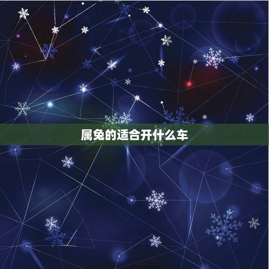 属兔的适合开什么车，1987年属兔买车什么色最旺