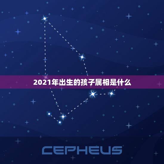 2021年出生的孩子属相是什么，2021年1月底出生的宝宝属什么