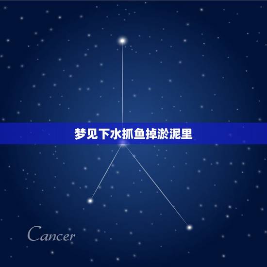 梦见下水抓鱼掉淤泥里,梦到为了抓鱼掉水里又自己上岸 梦见下水抓鱼掉淤泥里,梦到为了抓鱼掉水里又自己上岸