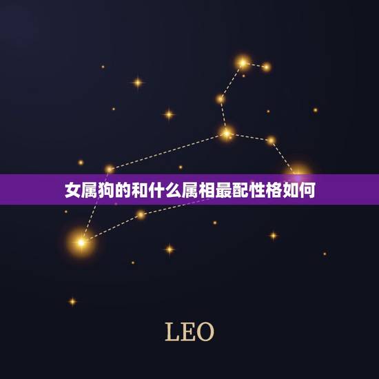 女属狗的和什么属相最配性格如何,属狗的女人和什么属相最配? 女属狗的和什么属相最配性格如何,属狗的女人和什么属相最配?