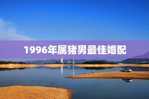 1996年属猪男最佳婚配，95年属猪男的和什么属相最配 1995年属猪