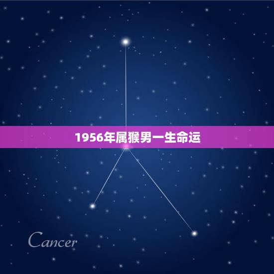 1956年属猴男一生命运,1956年属猴女人的命运 1956年属猴男一生命运,1956年属猴女人的命运