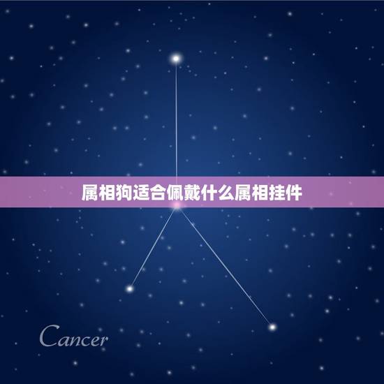 属相狗适合佩戴什么属相挂件,属狗带什么属相挂件好 属相狗适合佩戴什么属相挂件,属狗带什么属相挂件好