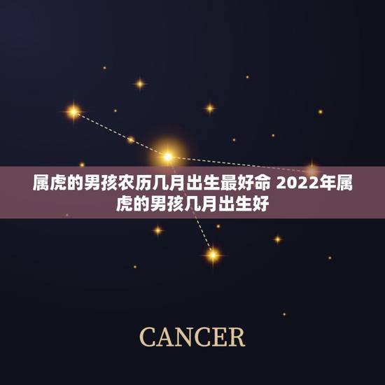 属虎的男孩农历几月出生最好命 2022年属虎的男孩几月出生好