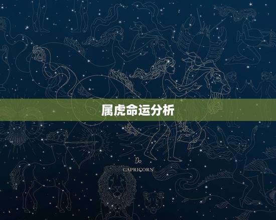 属虎命运分析,九八年属虎命运怎样 属虎命运分析,九八年属虎命运怎样