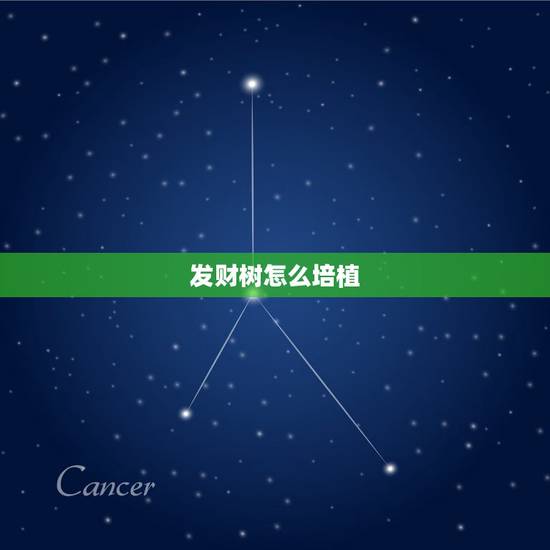 发财树怎么培植,发财树用什么土培植 发财树怎么培植,发财树用什么土培植