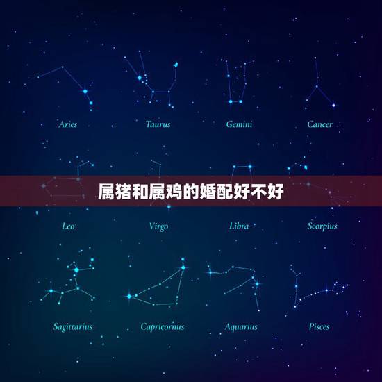 属猪和属鸡的婚配好不好,93鸡95猪结婚好不好 属猪和属鸡的婚配好不好,93鸡95猪结婚好不好