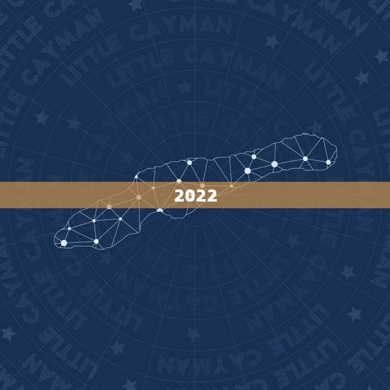 2022 年出生男孩起什么名字好，2022 牛年女宝宝取什么名字好