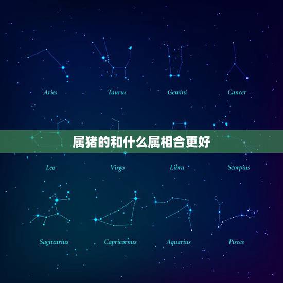 属猪的和什么属相合更好，猪与什么属相相配更好