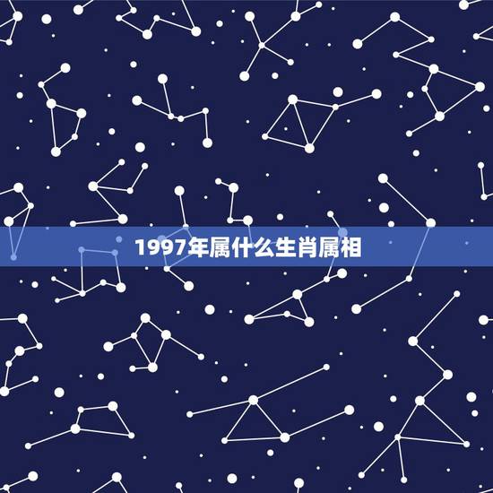 1997年属什么生肖属相，97年的属相是什么？