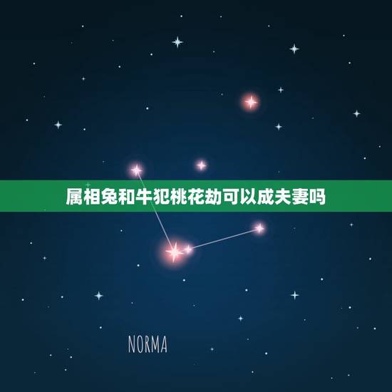 属相兔和牛犯桃花劫可以成夫妻吗,牛和兔相配婚姻如何 属相兔和牛犯桃花劫可以成夫妻吗,牛和兔相配婚姻如何