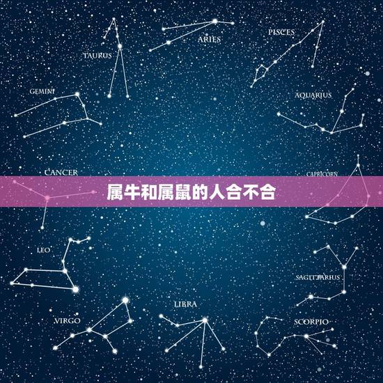 属牛和属鼠的人合不合,属鼠的人与属牛的人相配吗 属牛和属鼠的人合不合,属鼠的人与属牛的人相配吗