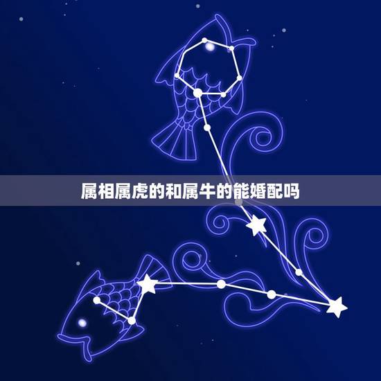 属相属虎的和属牛的能婚配吗,属虎跟属牛能在做夫妻吗 属相属虎的和属牛的能婚配吗,属虎跟属牛能在做夫妻吗