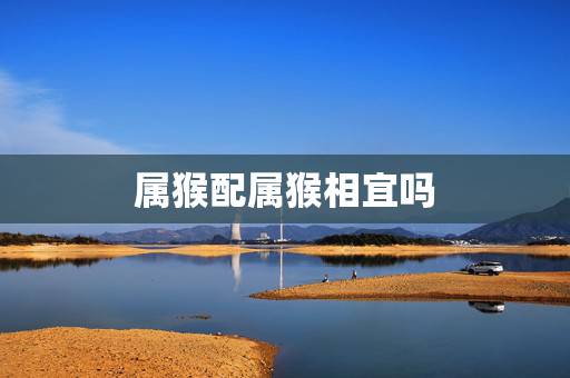 属猴配属猴相宜吗,属猴的配属猴的好不好 属猴配属猴相宜吗,属猴的配属猴的好不好