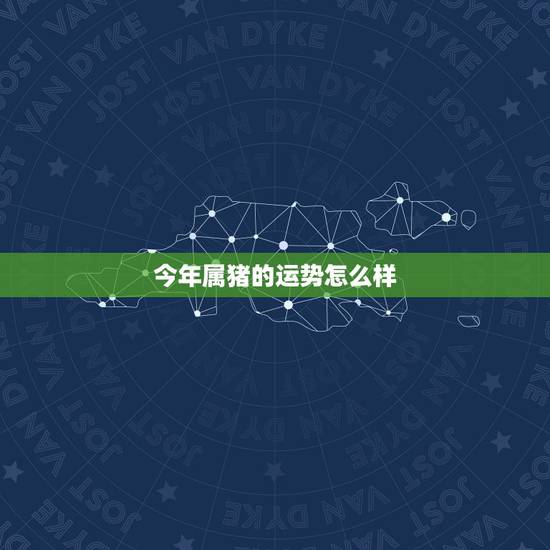 今年属猪的运势怎么样，属猪的人2021年运势及每月运程怎么样化解？