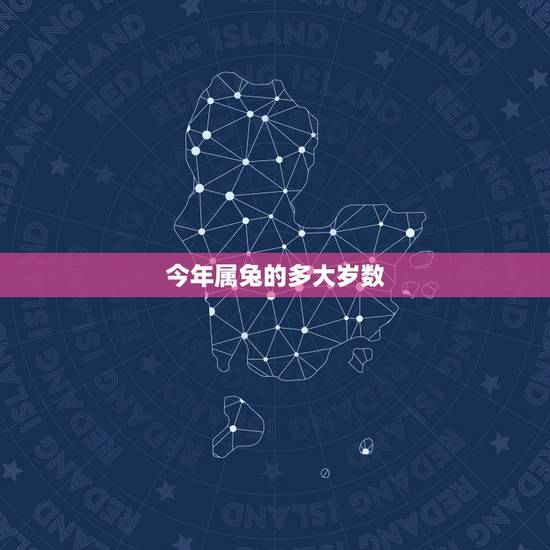 今年属兔的多大岁数，今年属虎的多大岁数