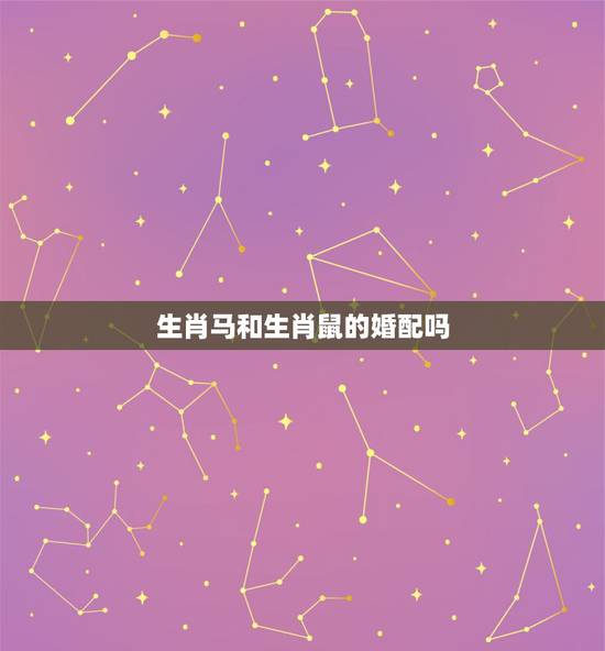生肖马和生肖鼠的婚配吗，属马的女人和属鼠的能婚配吗？