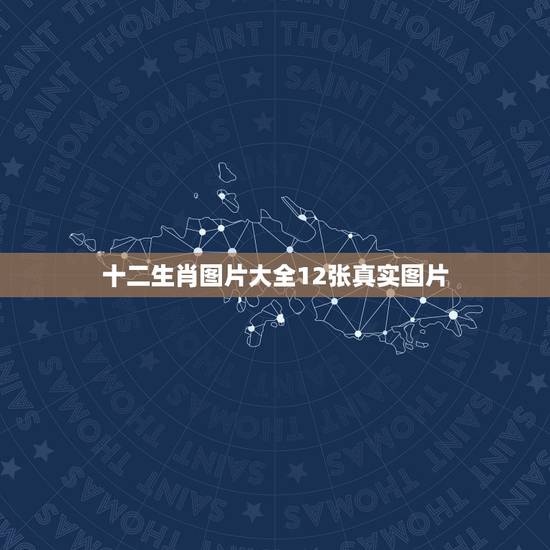 十二生肖图片大全12张真实图片,大家帮我看看这一张图片你们可以猜出一个 十二生肖图片大全12张真实图片,大家帮我看看这一张图片你们可以猜出一个