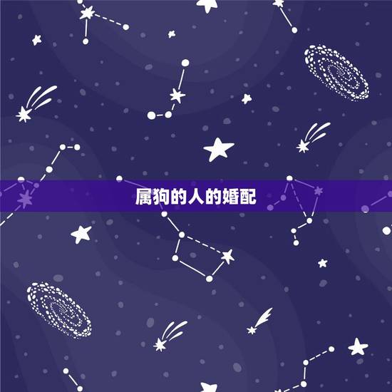 属狗的人的婚配，属狗人2022 年运势