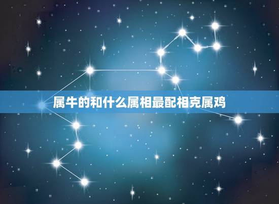 属牛的和什么属相最配相克属鸡,女属牛男属鸡结婚和哪个属相相克 属牛的和什么属相最配相克属鸡,女属牛男属鸡结婚和哪个属相相克