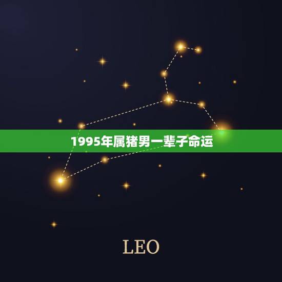 1995年属猪男一辈子命运,我的男朋友是1990年出生的4月马是什么命 1995年属猪男一辈子命运,我的男朋友是1990年出生的4月马是什么命