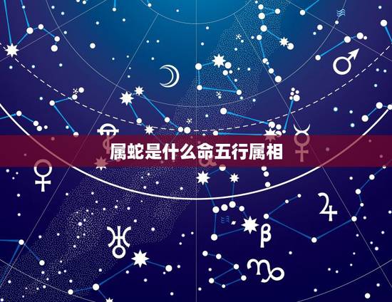 属蛇是什么命五行属相,属马是啥命,金木水火土哪个? 属蛇是什么命五行属相,属马是啥命,金木水火土哪个?