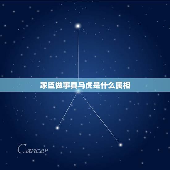 家臣做事真马虎是什么属相，家臣做事真马虎，是东是西分不清。猜一生肖