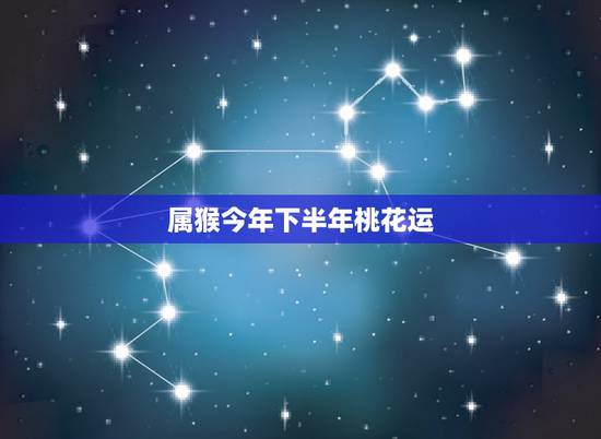 属猴今年下半年桃花运，属猴人2022 年12月的桃花运