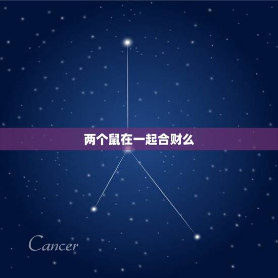两个鼠在一起合财么,两个都属鼠的结婚好吗 两个鼠在一起合财么,两个都属鼠的结婚好吗