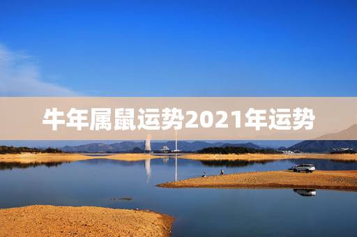 牛年属鼠运势2021年运势,属鼠人2021年全年运势详解? 牛年属鼠运势2021年运势,属鼠人2021年全年运势详解?