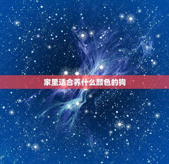 家里适合养什么颜色的狗,什么颜色的土狗更好 家里适合养什么颜色的狗,什么颜色的土狗更好