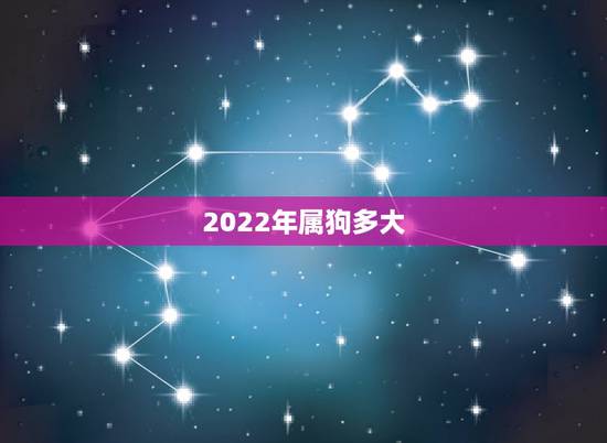 2022年属狗多大,属狗2022年运势及运程 2022年属狗多大,属狗2022年运势及运程