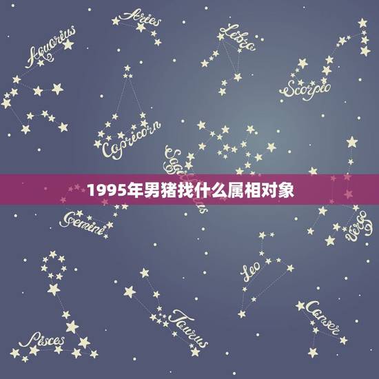 1995年男猪找什么属相对象,95年属猪男的和什么属相最配 1995年男猪找什么属相对象,95年属猪男的和什么属相最配