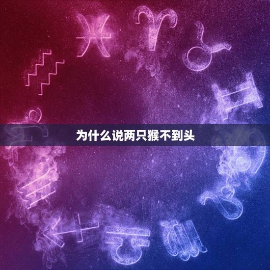 为什么说两只猴不到头,属猴男认定的老婆 为什么说两只猴不到头,属猴男认定的老婆