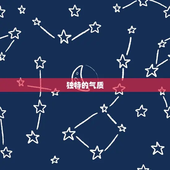 独特的气质 独特的气质