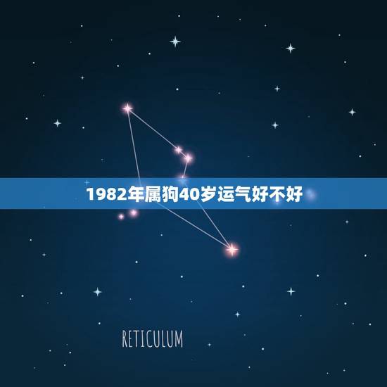 1982年属狗40岁运气好不好，2022年属狗运气