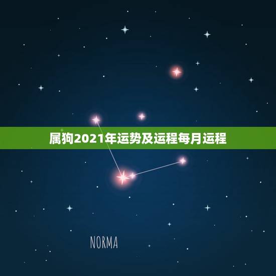 属狗2021年运势及运程每月运程，1970年属狗2021年运势及运程