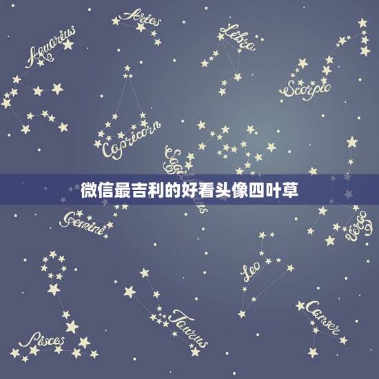 微信最吉利的好看头像四叶草，微信用什么头像最吉利？