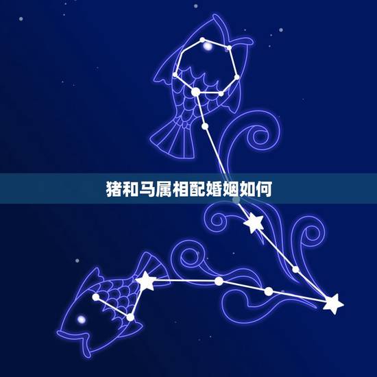 猪和马属相配婚姻如何,男猪女马属相配吗 猪和马属相配婚姻如何,男猪女马属相配吗