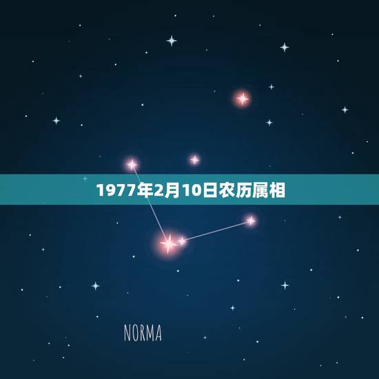 1977年2月10日农历属相，77年农历二月初十人2017运程