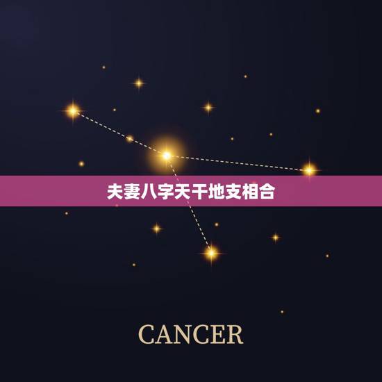 夫妻八字天干地支相合,夫妻相合是看天干还是地支? 夫妻八字天干地支相合,夫妻相合是看天干还是地支?