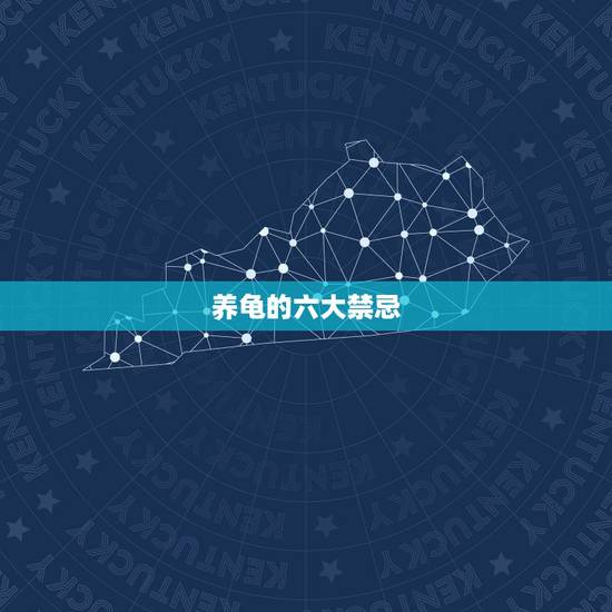 养龟的六大禁忌，家里养乌龟有哪些禁忌